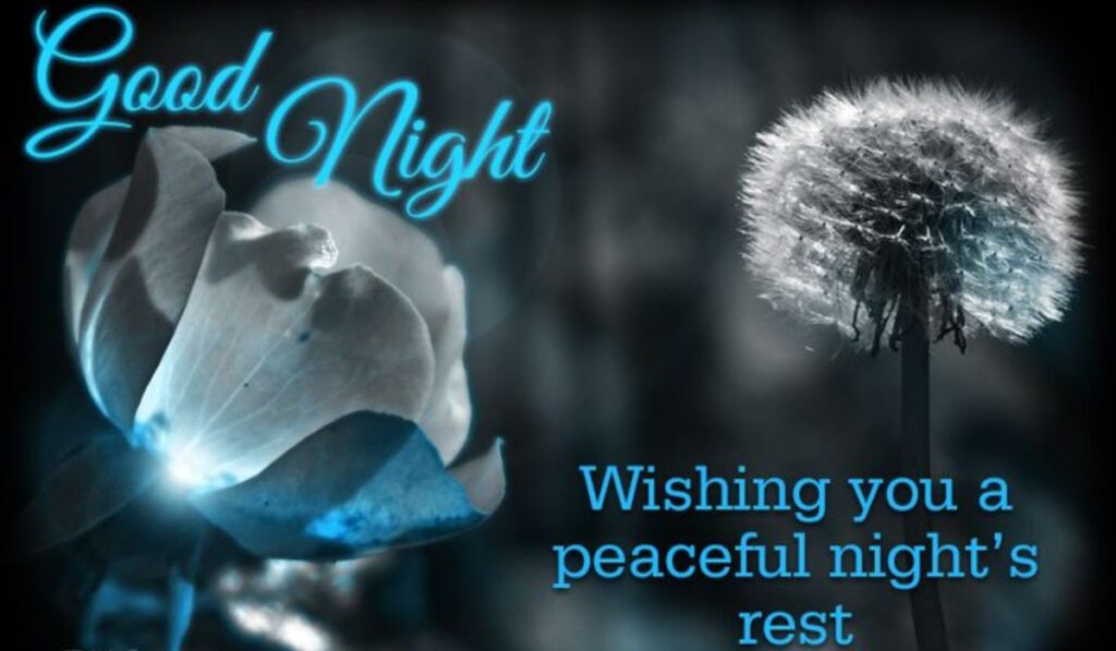 Peaceful Good Night Messages